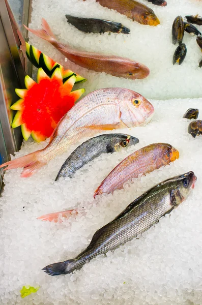 Mariscos en el hielo — Foto de Stock