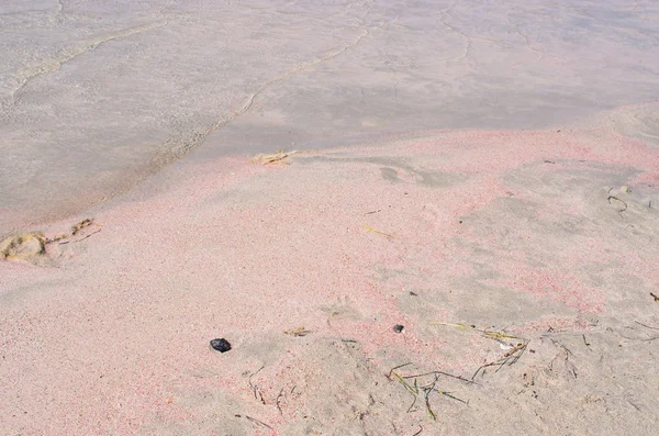 Famosa playa de Elafonissi con arena rosa, Creta — Foto de Stock