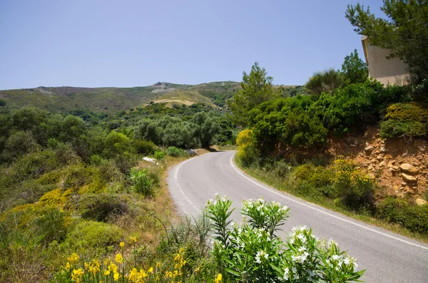 Road on Crete island, Greece — Stock Photo, Image