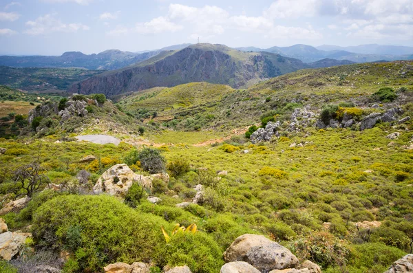 Weilanden in de heuvels van Kreta, Griekenland — Stockfoto