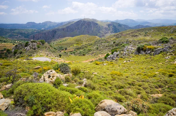 Pastos en las colinas de la isla de Creta, Grecia — Foto de Stock