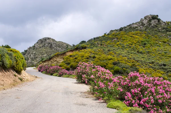 Dirt road in the mountains, Crete, Greece — Stock Photo, Image