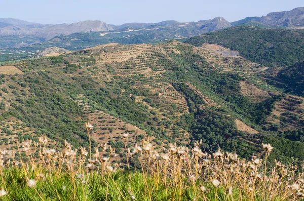 Στους λόφους κοντά στο χωριό Πολυρρήνια στην Κρήτη - Ελλάδα — Φωτογραφία Αρχείου