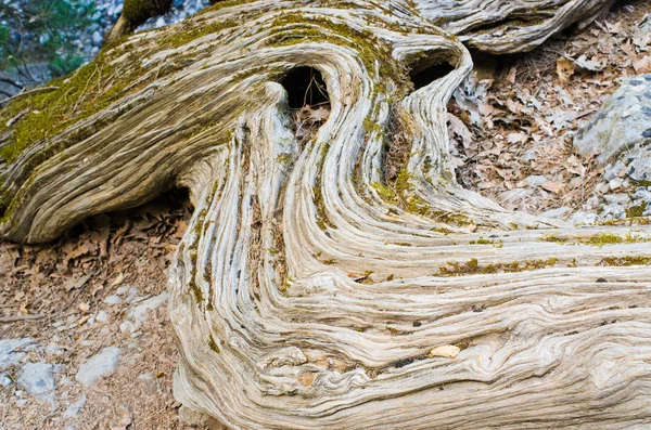 Geologica a Samaria Gorge sull'isola di Creta, Grecia — Foto Stock