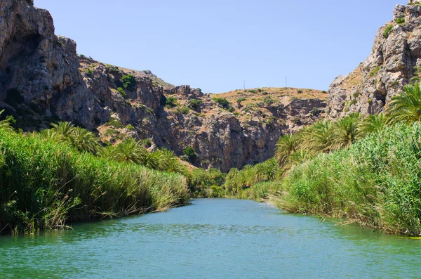 Palm forest Preveli na ilha de Creta, Grécia — Fotografia de Stock