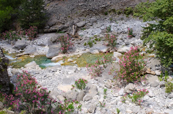 Creek en Samaria Garganta, Creta, Grecia — Foto de Stock