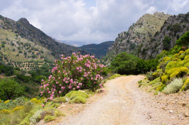 Toprak yol dağlarda, Crete, Yunanistan