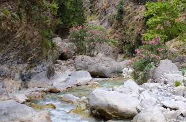 Dereye Samiriye Gorge, Crete, Yunanistan