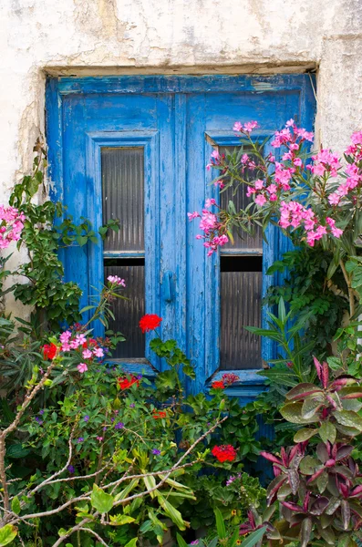 Голубая дверь в натуральной растительной раме — стоковое фото