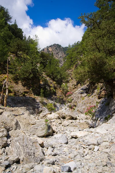 Passagem de Samaria Gorge, Creta, Grécia — Fotografia de Stock