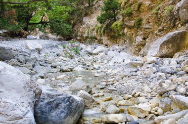 Dereye Samiriye Gorge, Crete, Yunanistan