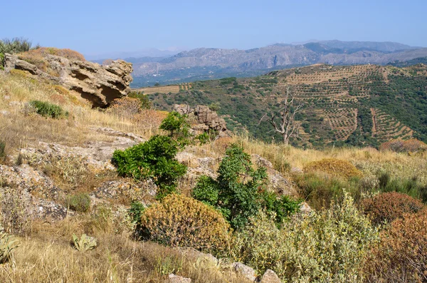 Στους λόφους κοντά στο χωριό Πολυρρήνια στην Κρήτη - Ελλάδα — Φωτογραφία Αρχείου