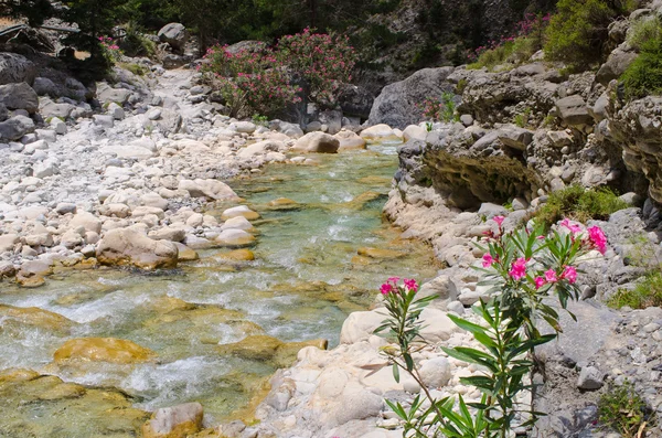 Creek w Wąwóz Samaria, Kreta, Grecja — Zdjęcie stockowe