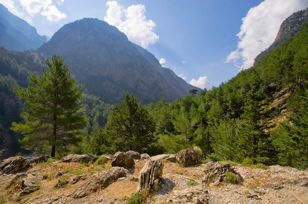 Samaria Gorge, Creta, Grecia — Foto Stock