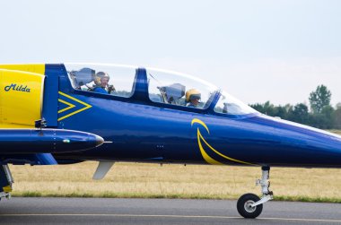 Radom Airshow, Polonya Baltık arılar oluşumu