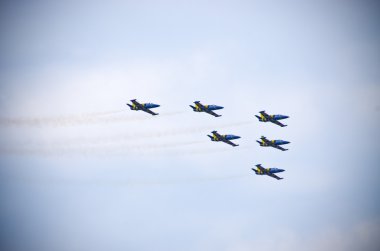 Radom Airshow, Polonya Baltık arılar oluşumu