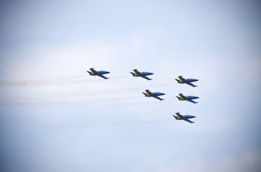Radom Airshow, Polonya Baltık arılar oluşumu