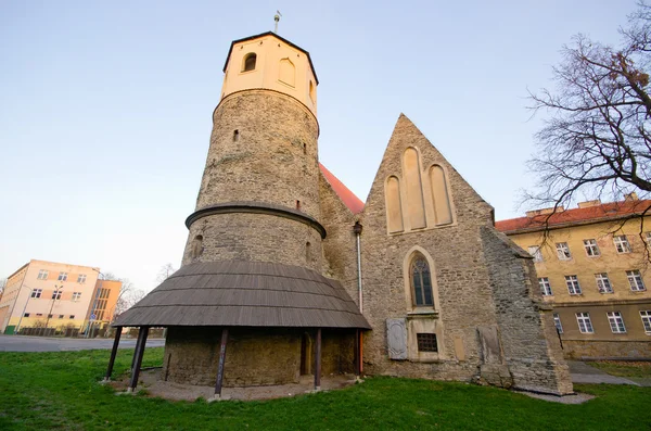 St. Gotard'ın rotunde Strzelin, Polonya — Stok fotoğraf