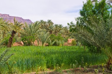 rij van twee verdiepingen tellende Wit flats