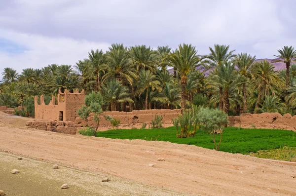 在摩洛哥的绿洲 — 图库照片