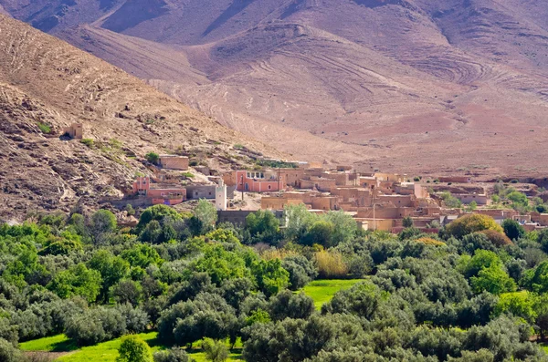 Malá vesnice a oasis, Maroko — Stock fotografie