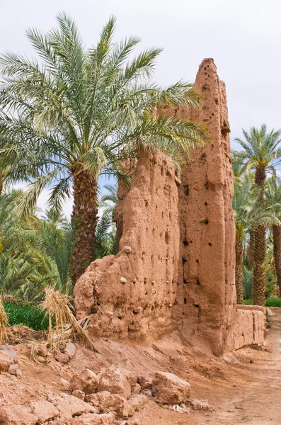 Oasis en Marruecos —  Fotos de Stock