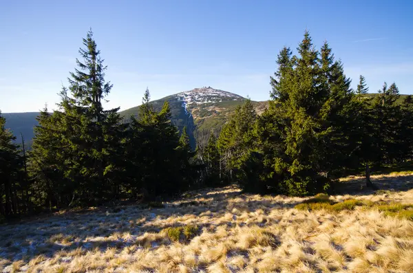 Sniezka peak in Karkonosze mountains - Poland — Stock Photo, Image