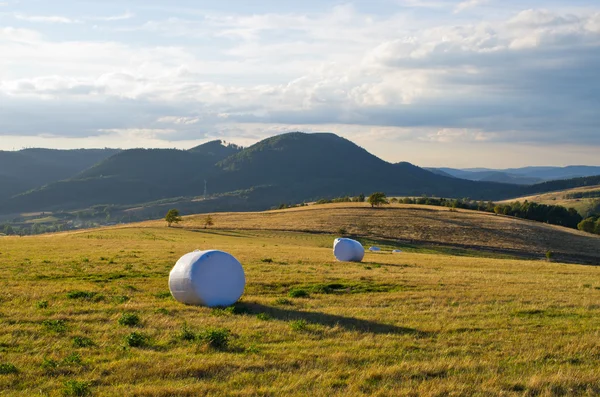 Autunno sulle colline — Foto Stock