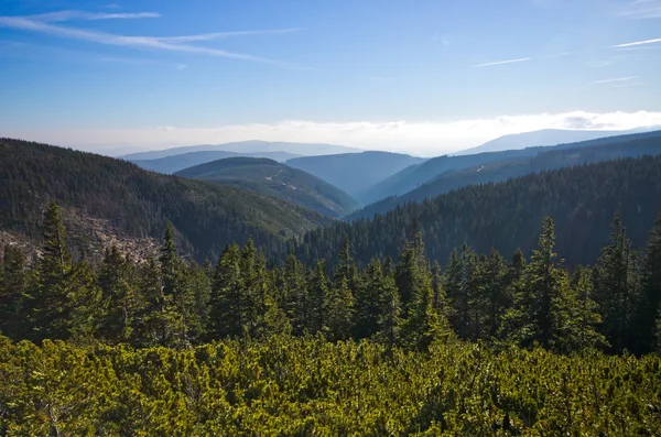 Otoño en las montañas de Karkonosze, Polonia —  Fotos de Stock