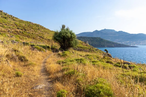 Litoral Panorâmica Uma Das Ilhas Gregas Lesbos — Fotografia de Stock