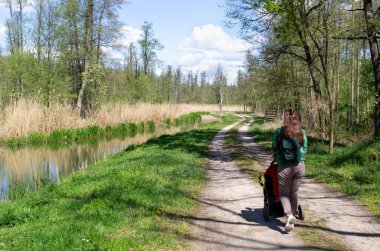 Dolina Baryczy 'deki Ormanlık Alan - Polonya