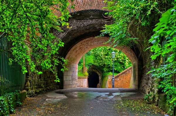 Old tunnel in the garden — Stock Photo, Image