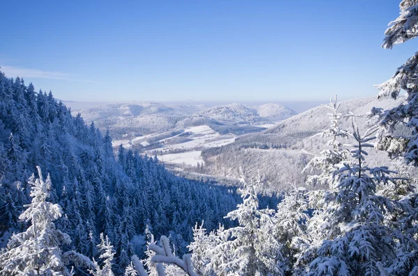 Paysage hivernal dans les collines — Photo