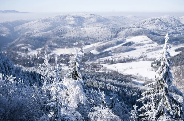 Paesaggio invernale in collina — Foto Stock