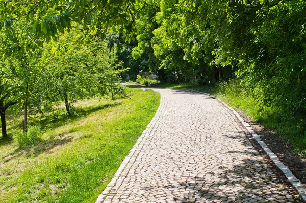 Cobblestone path — Stock Photo, Image