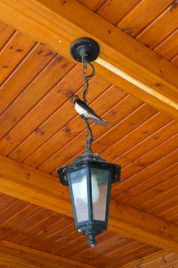 Telin üstünde dinlenme yutmak