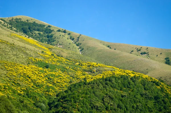 Paysage dans les collines des Balkans — Photo