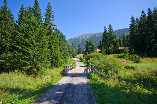 Ponte de madeira e caminho em Cárpatos montanhas, República Checa — Fotografia de Stock