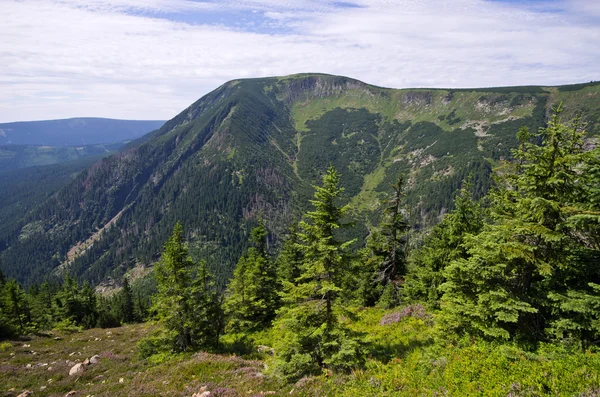 Sur le sentier près de Pec Pod Snezkou - Krkonose, République tchèque — Photo