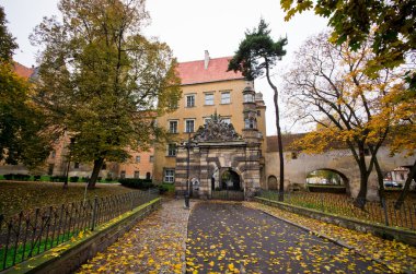 Olesnica Castle Dukes - Olesnica, Polonya
