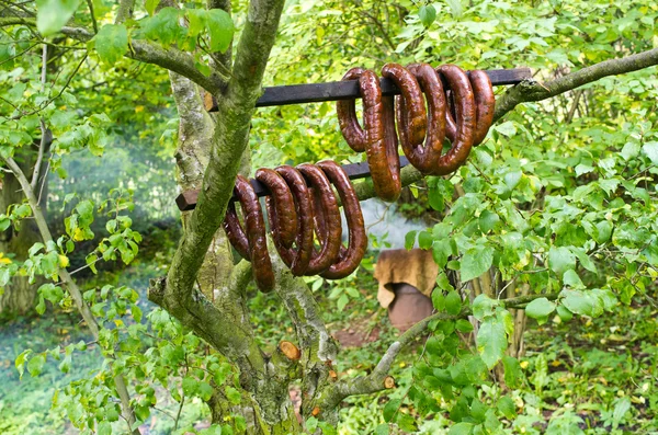 Saucisse domestique fumée dans le verger — Photo