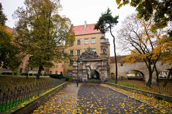 Schloss der olesnica herzöge - olesnica, poland — Stockfoto