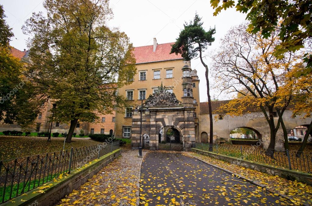 Castle of Olesnica Dukes - Olesnica, Poland