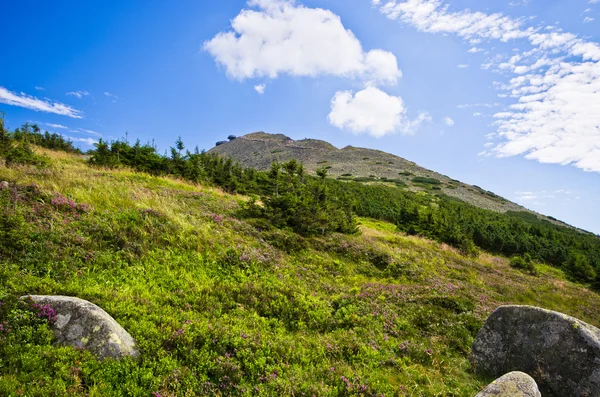 Snezka 산-체코 공화국에서 가장 높은 — 스톡 사진