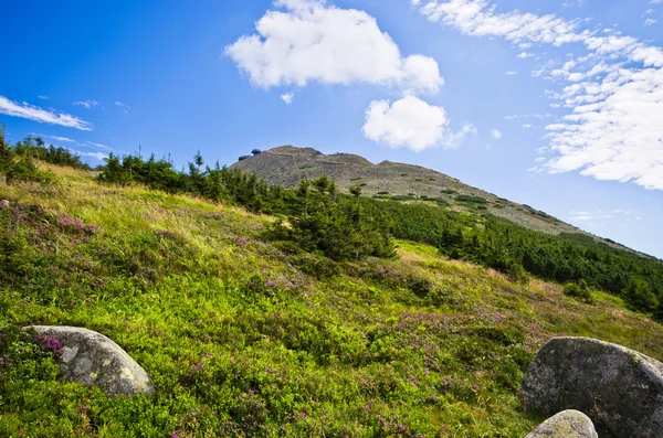 Montagne de Snezka - la plus haute en République tchèque — Photo