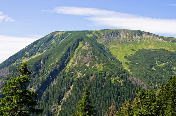 På spåret nära Pec Pod Sněžkou - bergsområdet, Tjeckien — Stockfoto