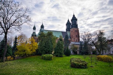 Aziz Peter ve Paul Bazilikası Poznan, Polonya