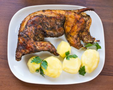 Bütün fırında tavşan