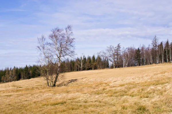 Primavera temprana en las montañas, Polonia — Foto de Stock