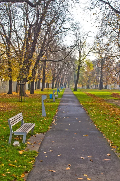 In the park - Poznan, Poland — Stock Photo, Image